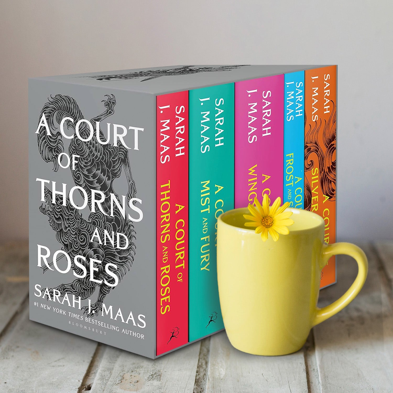 A Court of Thorns and Roses Paperback Box Set (5 Books) by Sarah J. Maas